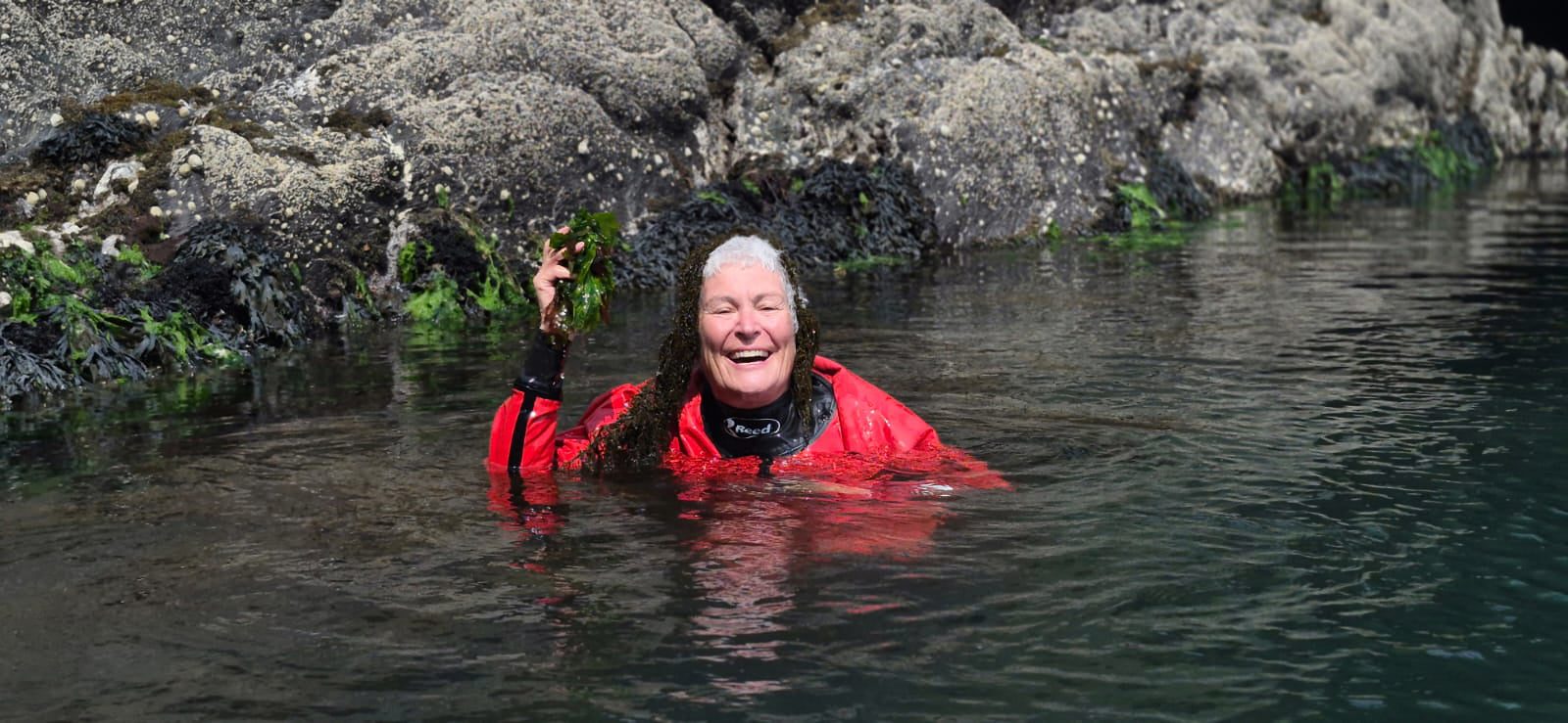 Sea Kayaking and Seaweed: A Guided Coastal Adventure