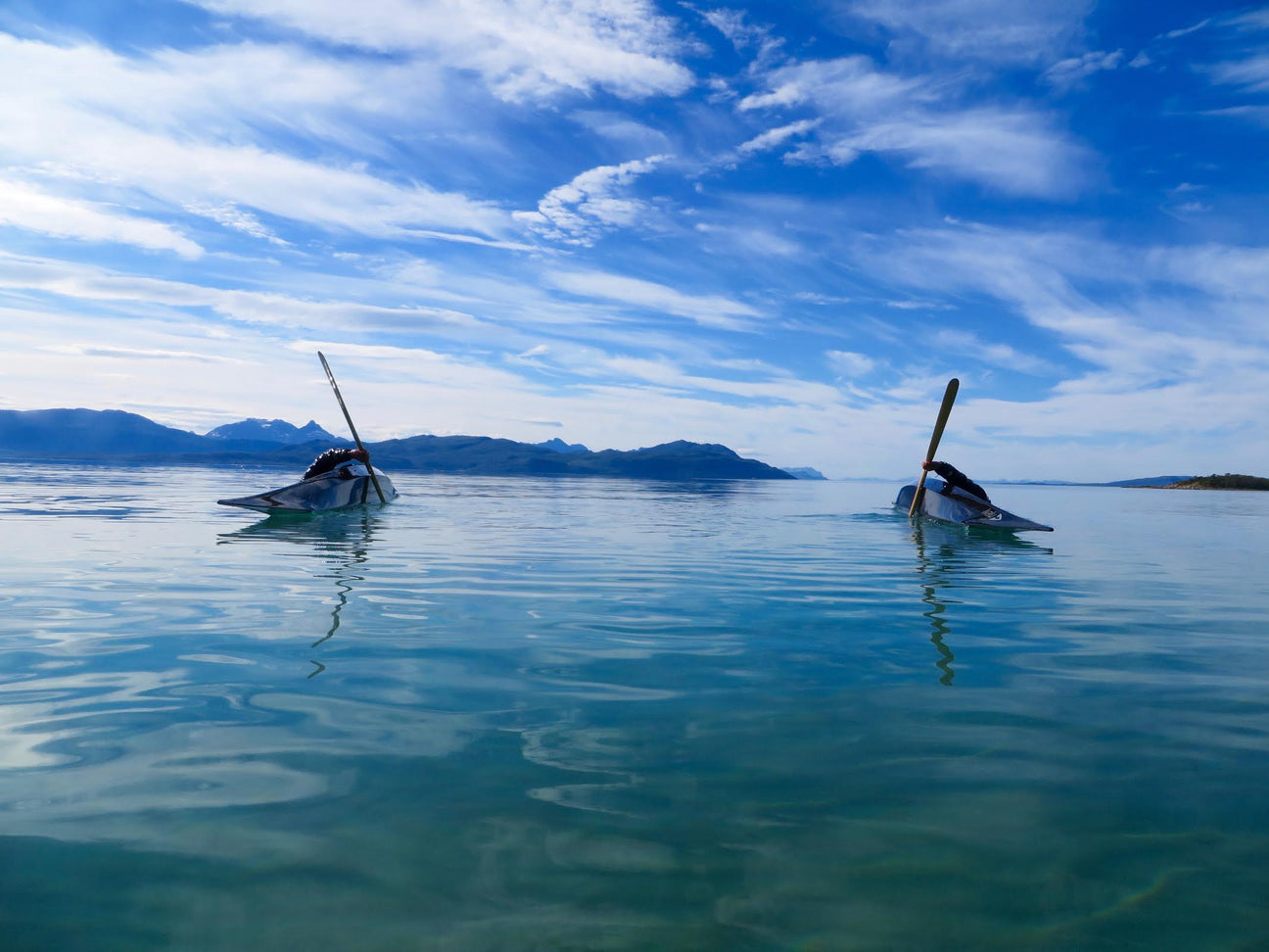 Paddles